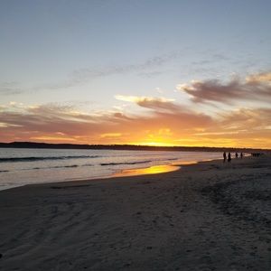 Meet your Posher, Wonnie